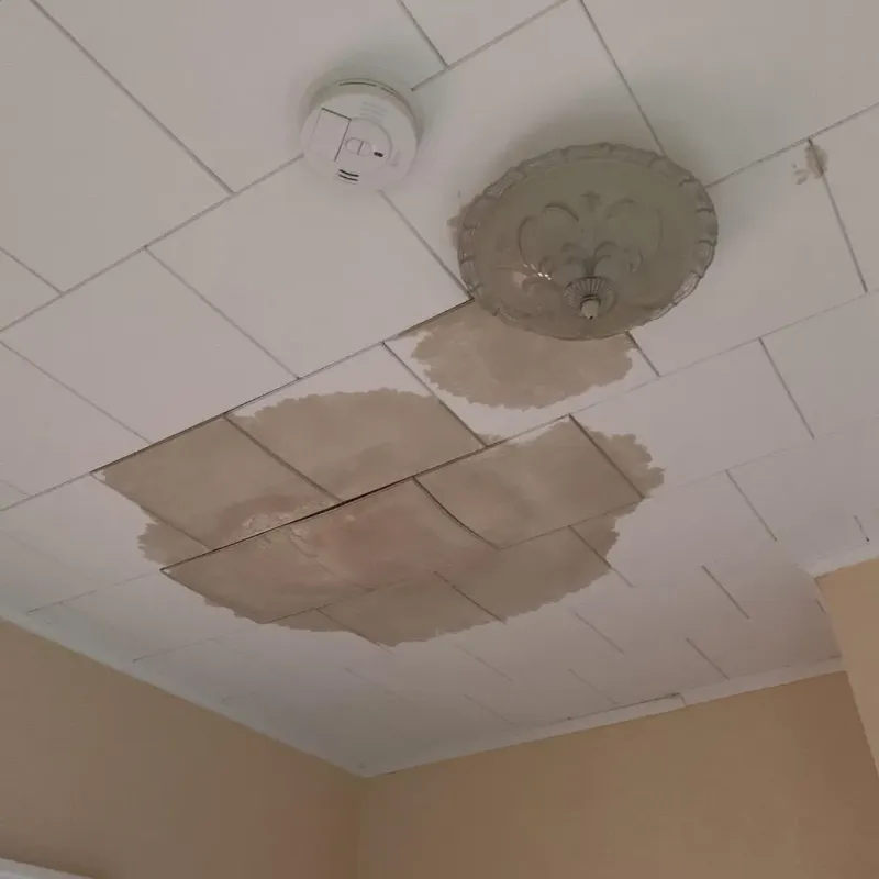 Ceiling Water Damage Repair in West Branch, IA