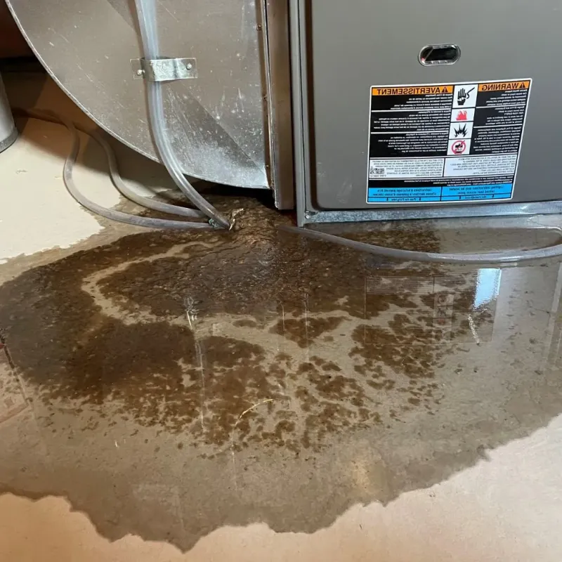 Pipe Burst and Leak Restoration in West Branch, IA