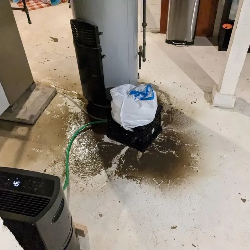 Sewage Backup Cleanup Service in West Branch, IA